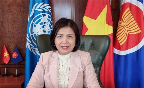 Вьетнам поддерживает содействие ЮНКТАД развивающимся странам по устойчивому восстановлению  - ảnh 1