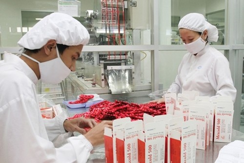 Lokakarya “Strategi mengembangkan industri farmasi Vietnam-visi sampai tahun 2035” diadakan di kota Hanoi - ảnh 1