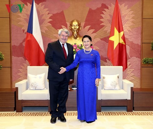 Pimpinan MN dan Pemerintah Viet Nam menerima Wakil Ketua Majelis Rendah Republik Czech - ảnh 1