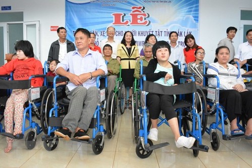 Viet Nam mendorong dan membela hak kaum disabilitas - ảnh 1