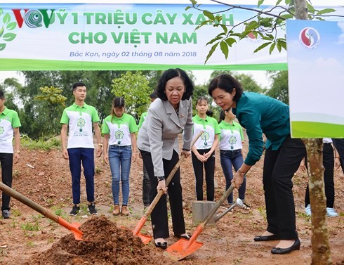 Program “Dana sejuta pohon hijau bagi Vietnam” di Provinsi Bac Kan - ảnh 1