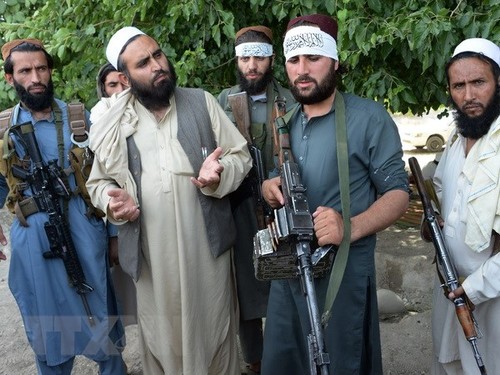 Taliban ingin mengadakan perundingan damai dengan AS di Qatar - ảnh 1