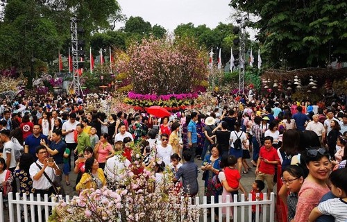 Festival bunga Sakura Jepang – Hanoi 2019 menyerap sekitar satu juta wisatawan - ảnh 1