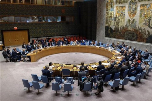 DK PBB mengadakan sidang darurat tentang bahaya konfrontasi di Libia - ảnh 1