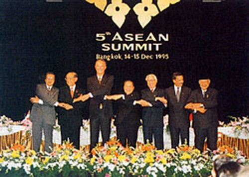 Selar-selar penting Vietnam-ASEAN - ảnh 3