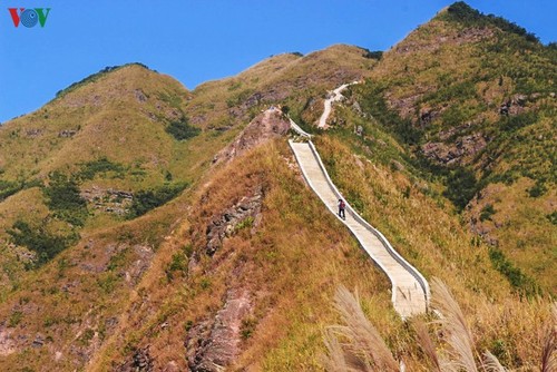 Daerah ketinggian Quang Ninh menyerap kedatangan  wisatawan  untuk menghayati pada Musim Gugur - ảnh 2