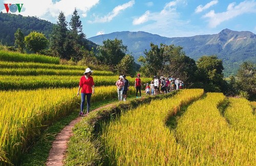 Daerah ketinggian Quang Ninh menyerap kedatangan  wisatawan  untuk menghayati pada Musim Gugur - ảnh 4