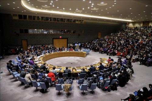 PBB mendesak supaya menandatangani permufakatan gencatan senjata di Libia - ảnh 1