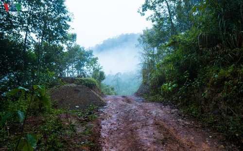 Daerah A Pa Chai ujung barat  – tempat di mana suara ayam berkokok didengarkan di tiga negeri - ảnh 10