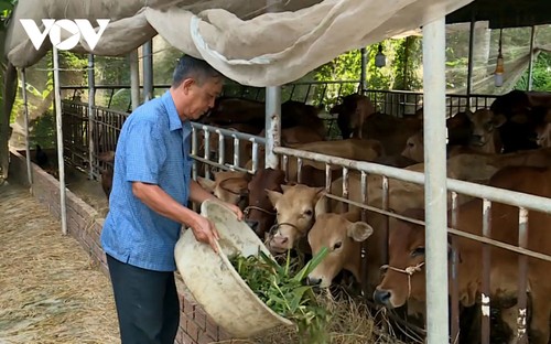 Petani Vietnam yang terkemuka, Duong Van Tao- seorang yang sepenuh hati demi keluarga miskin - ảnh 2