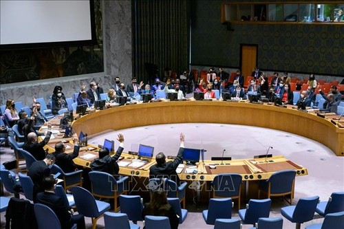 DK PBB Sahkan Resolusi-Resolusi Perpanjang Misi PBB di  Sahara Barat dan Kolombia serta Perlindungan Pendidikan Dalam Bentrokan - ảnh 1