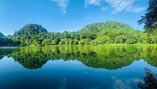  Cuc Phuong-Taman Nasional Papan Atas di Asia 2021 - ảnh 3