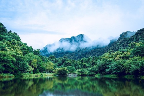  Cuc Phuong-Taman Nasional Papan Atas di Asia 2021 - ảnh 7