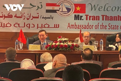 Dorong Kerja Sama Perdagangan Dan Investasi AntarDaerah Vietnam-Mesir - ảnh 1