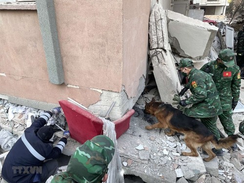 Vietnam Berupaya Membantu Turki dan Suriah Pasca Gempa Bumi - ảnh 1