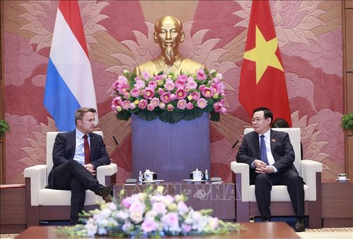 Vietnam dan Luksemburg Ingin Bersama-Sama Membantu Perekonomian Hijau - ảnh 1