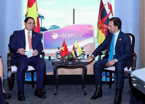 Memperkuat Kerja Sama di Banyak Bidang Antara Vietnam dengan  Brunei Darussalam, Singapura, dan Laos - ảnh 1