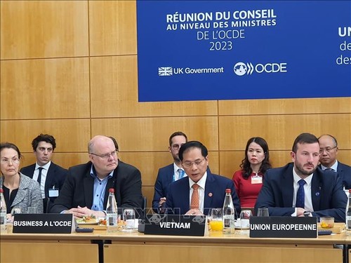 Menlu Vietnam Bui Thanh Son Tekankan Tekad tentang Transformasi Hijau di Konferensi OECD 2023 - ảnh 1