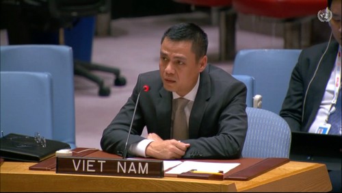Vietnam Mendukung Upaya Penanggulangan Dampak Perubahan Iklim terhadap Perdamaian dan Keamanan Internasional     - ảnh 1