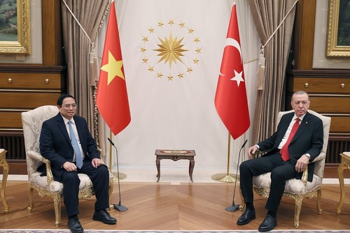 Vietnam dan Turki Dorong Kerja Sama di Banyak Bidang - ảnh 1