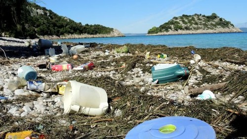 Des milliards de tonnes de plastiques s'accumulent dans la nature - ảnh 1