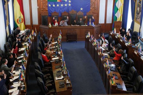 En Bolivie, le Parlement approuve l’organisation de nouvelles élections sans Morales - ảnh 1