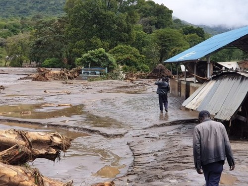 Le Kenya confirme la mort de 37 personnes après des glissements de terrain dans le nord-ouest du pays - ảnh 1