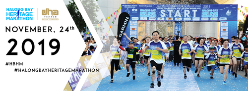 Marathon international de la baie d’Ha Long  - ảnh 1