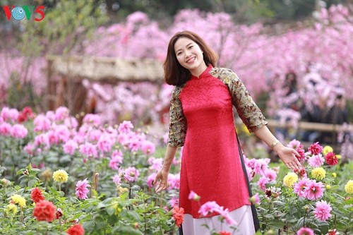 Les Vietnamiennes s’habillent en ao dài pour la fête du Têt - ảnh 12