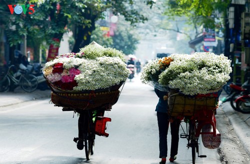 Hanoï accueille la saison des fleurs d’échinacée blanche - ảnh 14