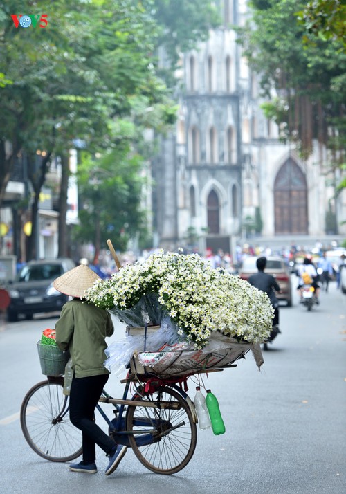 Hanoï accueille la saison des fleurs d’échinacée blanche - ảnh 16