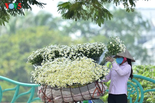 Hanoï accueille la saison des fleurs d’échinacée blanche - ảnh 18