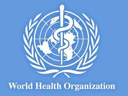 Vietnam contributes actively to the WHO Executive Board - ảnh 1