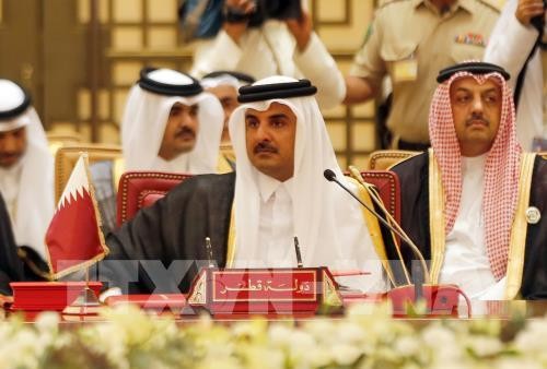 Gulf diplomatic tensions escalate - ảnh 1