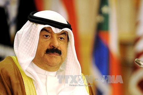 US supports Kuwait's role as Gulf mediator - ảnh 1