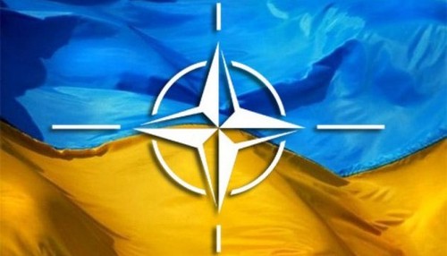 NATO recognizes Ukraine as aspirant country - ảnh 1