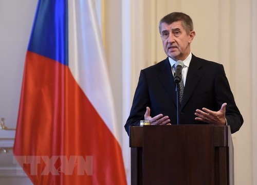 Czech cabinet backs referendum bill to safeguard against Czexit - ảnh 1