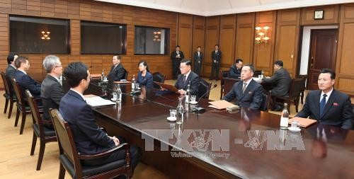 Koreas hold 'thorough' talks on upcoming summit  - ảnh 1