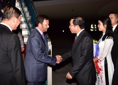 Sultan of Brunei begins State visit to Vietnam - ảnh 1