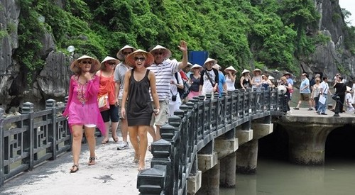 Vietnam welcomes 8.5 million foreign visitors so far in 2019 - ảnh 1