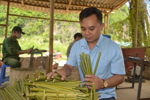 Recycling waste, ecobrick use, bamboo straws help reduce plastic pollution - ảnh 4