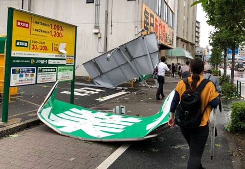 Typhoon Faxai batters Tokyo - ảnh 1