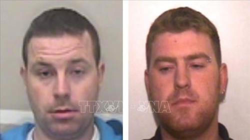 Essex lorry deaths: Ronan Hughes to be extradited to UK - ảnh 1