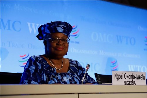 WTO names women to half of its deputy chief posts - ảnh 1