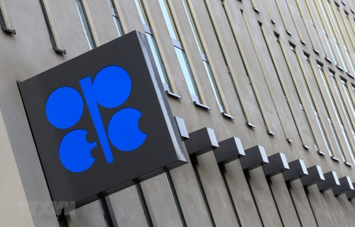 OPEC sees oil demand growing over next two decades - ảnh 1