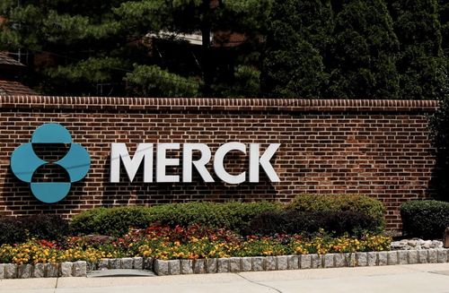 Merck pill seen as 'huge advance,' raises hope of preventing COVID-19 deaths - ảnh 1