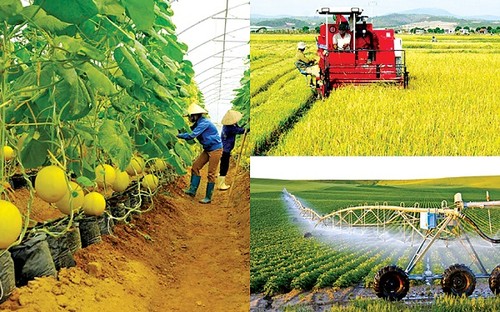 Vollversammlung der Partner zur nachhaltigen Entwicklung der Landwirtschaft in Vietnam - ảnh 1