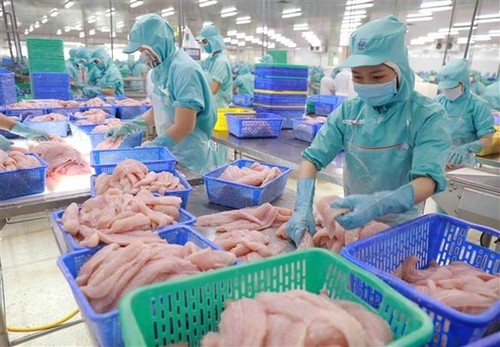 Vietnam’s aquatic product exports projected to reach 8.4 billion USD - ảnh 1
