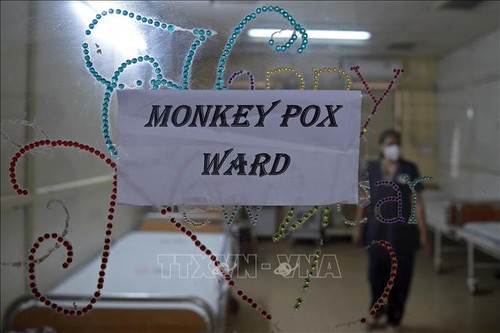 WHO says monkeypox is still an int'l public health emergency - ảnh 1