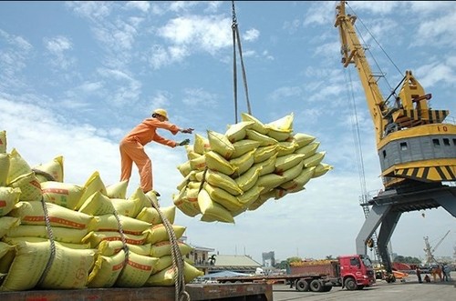 Rice export prices surge - ảnh 1